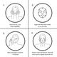 Detoxie Organic Serum Sheet Mask 20 gm - Sheet Masks