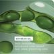 BIOLAGE Colorlast Shampoo 400 ml - Shampoos