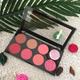 Makup Revolution Ultra Blush Palette Sugar and Spice 12.8 gm - Blushes