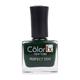 Color Fx PERFECT STAY 125 9 ml - Nail Polish