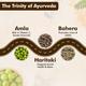 Baidyanath Triphala Tablet 60's - Speciality Medicines