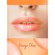 Sery Pout 'N' Shine Lip Tint Orangechoco, T6 3.5 gm - Lip Balms
