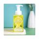 Bloomsberry Lemon Zest Gentle Foaming Hand Soap 450 ml - Hand Wash & Soaps