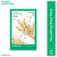 Innisfree Oatmeal Energy Mask 22 ml - Sheet Masks
