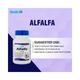 Healthvit Alfalfa Capsules 60's - Multi-Vitamins