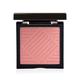 Pac Spotlight Blush (Action) 10.6 gm - Blushes