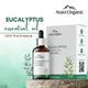 Aravi Organic Nilgiri Eucalyptus Essential Oil 100% Pure Oil 15 ml - Essential Oils