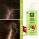 Organic Harvest Anti Dandruff Conditioner (ACV) 500 ml - Conditioners