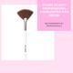 Plume P06 Highlighter Fan Brush 1's - Face Brush
