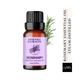 Essentia Extracts Rosemary Essential Oil 15 ml - Essential Oils