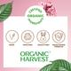 Organic Harvest Moisture Matte Lipstick - Pink Peony 4 gm - Lipsticks