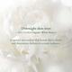 Lotus Organics Precious Brightening Night Creme 30 gm - Night Cream