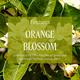 L'Occitane Neroli & Orchidee Perfumed Hand Cream 30 ml - Hand Creams