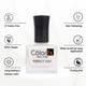 Color Fx Perfect Pastel Longlasting Glossy finish 21 toxin free Non-yellowing Camel - 170 9 ml - Nail Polish