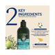 L'Occitane En Provence Fraicheur Purifying Freshness Shampoo 500ml - Shampoos
