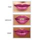 Star Struck by Sunny Leone Kiss Me Pink Lip Kit Lip Gloss and Lip Liner 2's - Lip Glosses