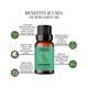 Essentia Extracts Bergamot Essential Oil 15 ml - Essential Oils