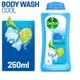 Dettol Long Lasting Hygiene Body Wash - Cool 250 ml - Shower Gels & Body Wash