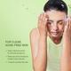 Quench Botanics Matcha Green Tea Face Wash Detoxifies and Purifies Skin for Oil & Acne Control 100 ml - Scrubs & Exfoliants