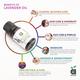 Anveya Essential Oils Set 105 ml - Essential Oils