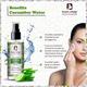 Passion Indulge Cucumber Water Makeup Remover Acne Removal and Reduce Skin Inflammation 100 ml - Toners