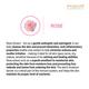 Aryanveda Anti Acne Rose Body Yogurt 200 ml - Lotions & Creams