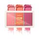 Insight Professional Face Glow Blusher Palette 15 gm - Blushes