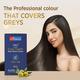 Dr Batras Pro+ Colour Nourish Hair Colour Cream for Rich Hair Color, Enriched with Amla - Brown 120 gm - Crème