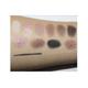 Mue Eyeshadow Eye Palette - Elysium 17 gm - Eyeshadow, Bases & Primers