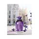 Dolce&Gabbana Dolce Violet Edt 75 ml - Women Perfumes (Edt/Edp)