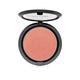 Wet N Wild Color Icon Blush - Pearlescent Pink 6 gm - Blushes
