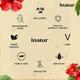 Inatur Hair Oil - Hibiscus 100ml - Hair Oils