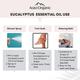 Aravi Organic Lavender and Eucalyptus Essential Oil 100% Pure Oil 30 ml - Essential Oils
