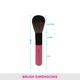 Vega Powder Brush (Small) (MBP - 09) 1's - Face Brush
