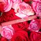 Daily Life Forever52 Velvet Rose Matte Lipstick Rs011 Rs011 3 Ml - Lipsticks