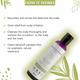 Glamveda Anti Dandruff and Healthy Hydration Tea Tree Shampoo 100 ml - Shampoos