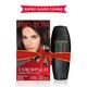 Revlon ColorSilk Beautiful Hair Color with Keratin 3D Color - 2N Brown Black 91.8ml + Outrageous Shampoo 90ml (91.8ml + 90ml) 1's - Crème