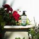 Petal Fresh Purifying Tea Tree Bath and Shower Gel 475 ml - Shower Gels & Body Wash