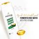 Pantene Pro-V Advanced Hair Fall Solution+ Shampoo - Silky Smooth Care 75 ml - Shampoos