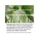 Mixsoon Soondy Centella Asiatica Essence 50 ml - Face Serum