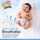 Snuggy Premium Baby Diaper Pants (L) 62's - Diapers & Wipes