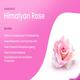 Rosa Hair & Body Wash - Himalayan Rose 500 ml - Shower Gels & Body Wash