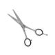 Vega Professional Pro Craft 5.5' Silver Line Hairdressing Scissor (VPVSC-17) 1's - Grooming Kits