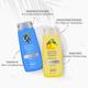 Cleansense Limequat & Blueberry Shower Gel (Combo of 2) 560 gm - Shower Gels & Body Wash