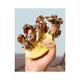 Q By Dolce&Gabbana Edp 100 ml - Women Perfumes (Edt/Edp)