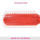 Vega Flat Brush (R4 - FB) 77 gm - Hair Brushes