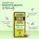 Baidyanath Isabgol Psyllium  Husk Powder 100g - Digestive Care
