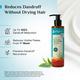 Pilgrim Australian Tea Tree Non-Drying Anti-Dandruff Shampoo 200 ml - Shampoos
