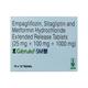 GIBTULIO SM 25/1000 Tablet 10's - Diabetes-Ant