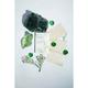 Dromen & Co Green Tea Blotting Paper (50 Sheets) 12.3 gm - Others
